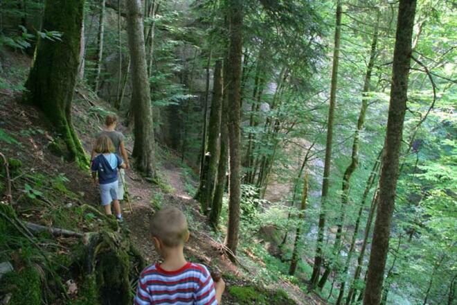 Zum oberen Osterdorfer Wasserfall 