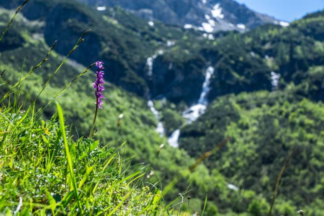 Blick Wasserfall bei der Fluchtalpe