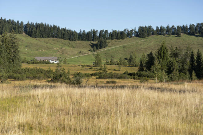 Moosalpe (c) Martin Vogel