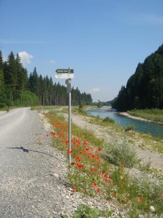 Wandern am Illerdamm bei Fischen im Allgäu