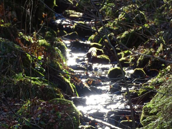 Auf der Tour &quot;Rund um dem Ochsenberg&quot;