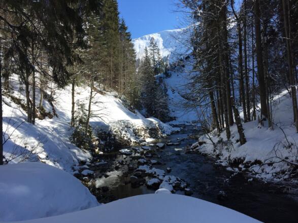 Schatten-Sonnen-Spiele am Schwarzwasserbach