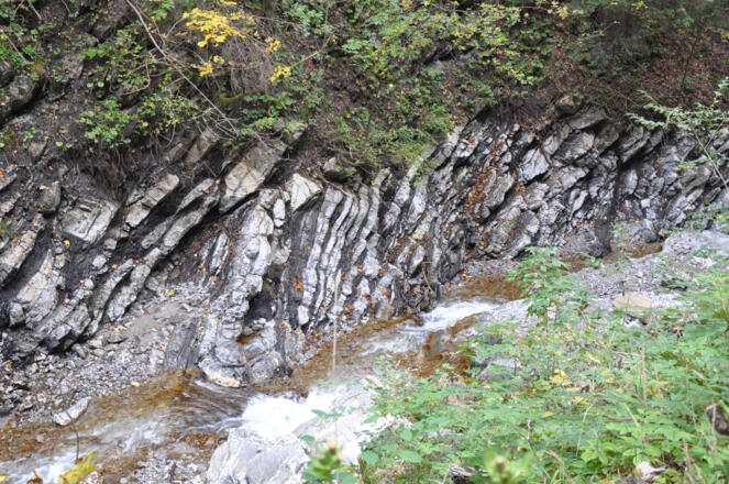 Flyschablagerungen der Tristel-Formation