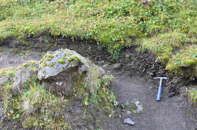 Dunkelgraue Tonmergelsteine der Allgäu-Formation
