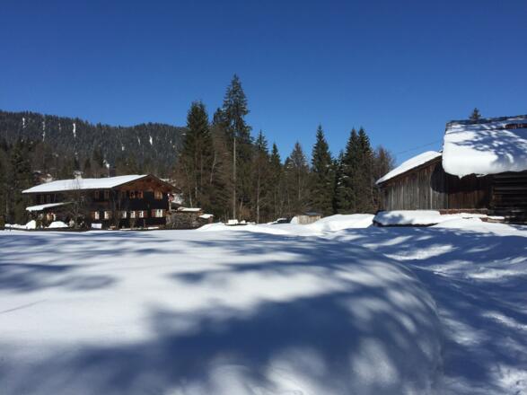 An der Fuchsloch-Alpe