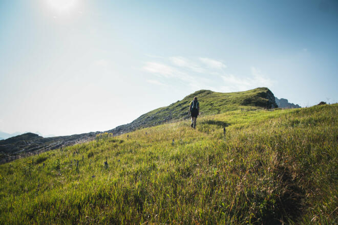 Weg Richtung Hahnenköpfle  (c) Thomas Stanglechner / Vorarlberg Tourismus