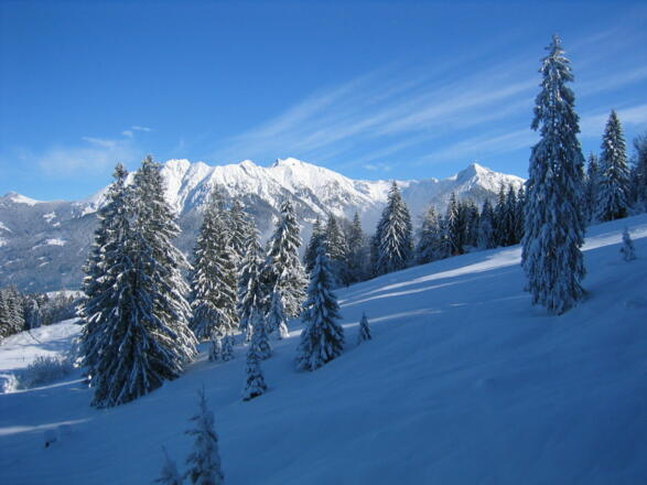 Blick auf das Nebelhorn