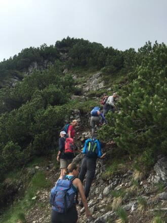 die letzten 80 HM geht es nochmals steil durch Schrofengelände (Stellen I-) zum Gipfel