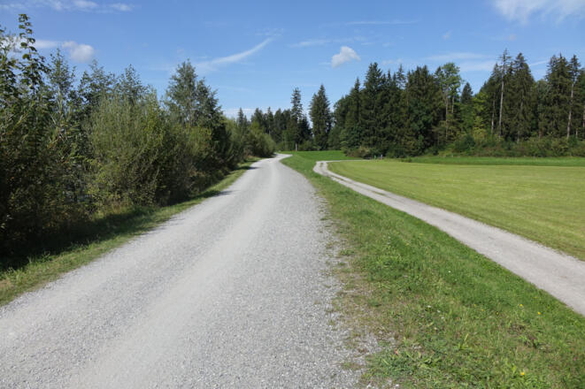 Illerdamm Richtung Unterthalhofen