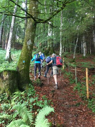 steil geht es im Wald hoch