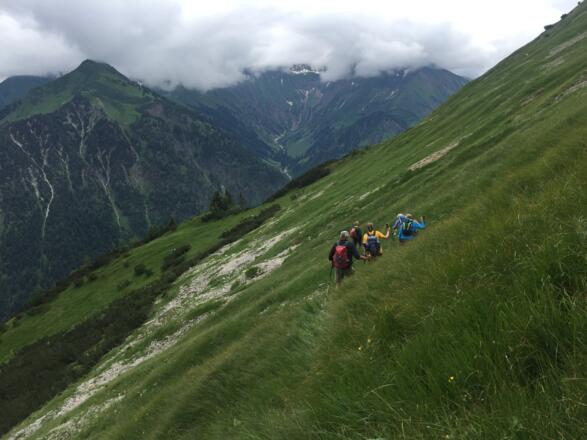 oberhalb der Latschenzone geht es erst weglos durch die Grasflanke, ehe man auf Steinmännchen u Wegspuren trifft