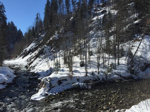 Wo der Schwarzwasserbach in die Breitach fließt