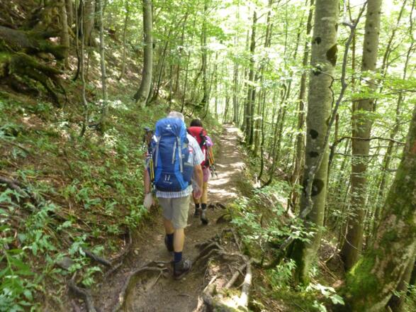 Nach der Materialseilbahn - tropischer Djungel