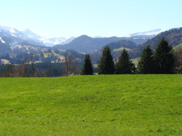 Das südliche Illertal im Frühling