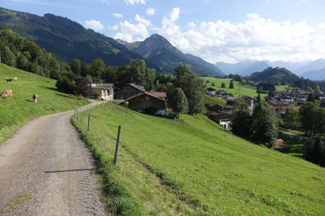 Rückweg Richtung Oberthalhofen