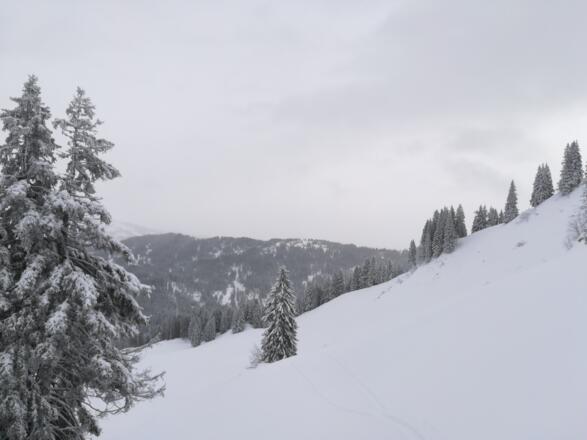 Blick zurück Richtung Burglhütte 12:06:08