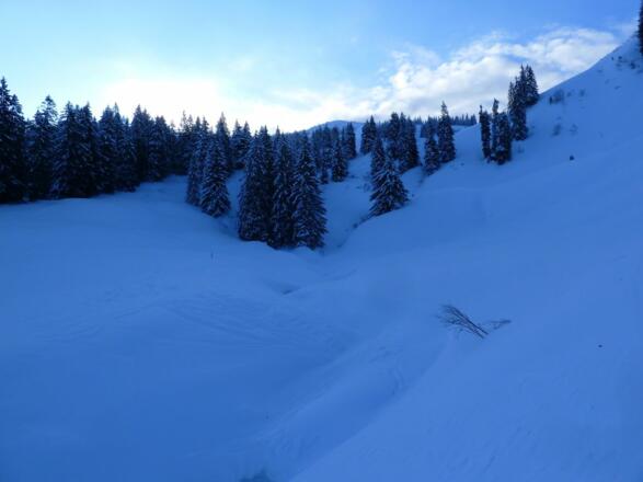 Bachquerung vor den Bäumen in der Bildmitte