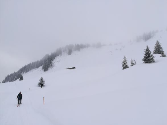 Blick zurück Alpe unterm Feuerstätter 11:38:10