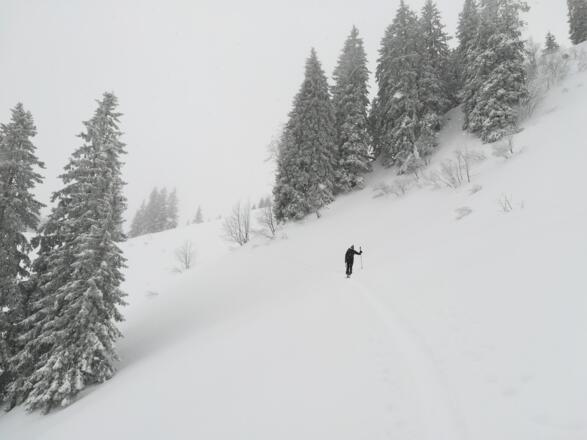 Anstieg Feuerstätter 11:14:15