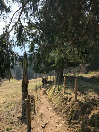 Bergblick Wanderweg 