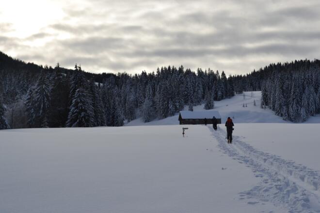 Die Lichtensteiner-Hütte