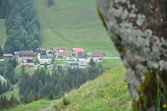 Auf dem Weg zum Gelbhansekopf