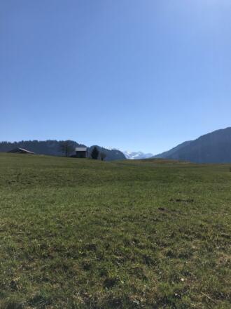 Grüne Wiesen und schneebedeckte Berge