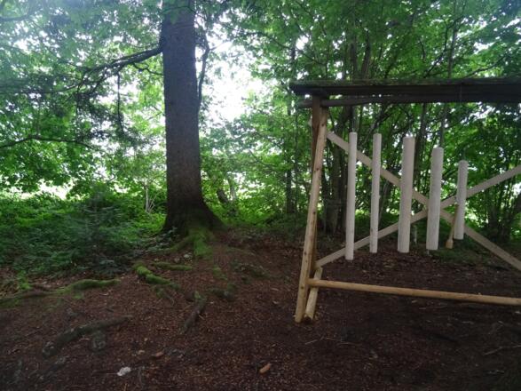 Hier klingt der Wald