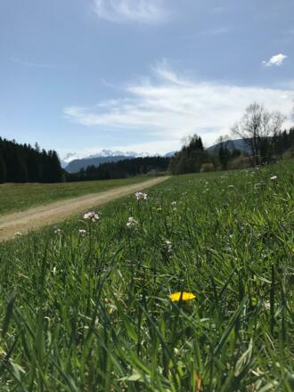 Ein kurzer Blick zurück Richtung Süden