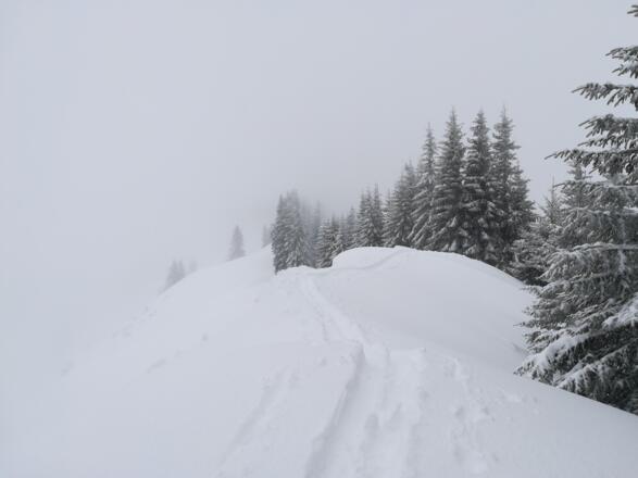 Grat am Feuerstätter 2018 11:23:29