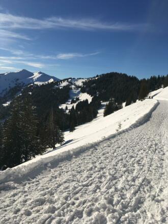 Gewalzter Winterwanderweg 