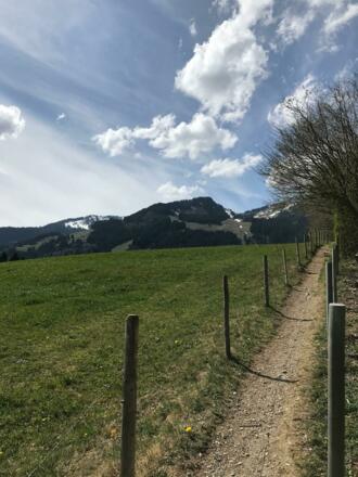 Wiesenweg zurück nach Bolsterlang