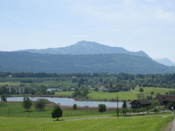 Aussicht von Memhölz über den Mitterinselsee auf den Grünten