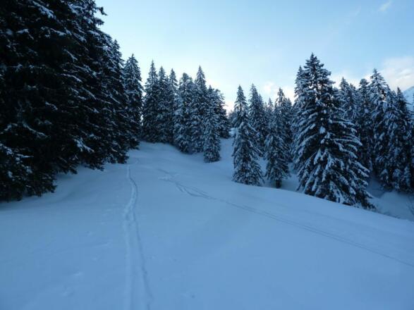 Flacher Hang nach der Bachquerung