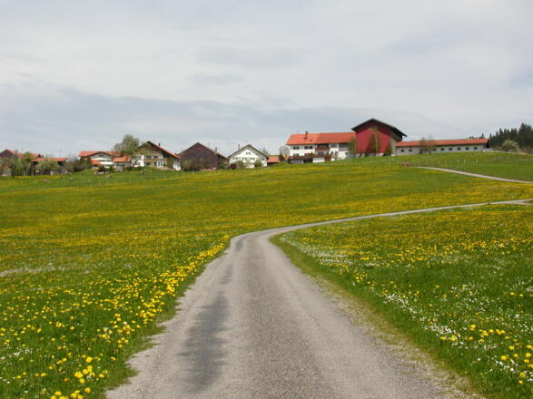 Weg nach Vorderreute