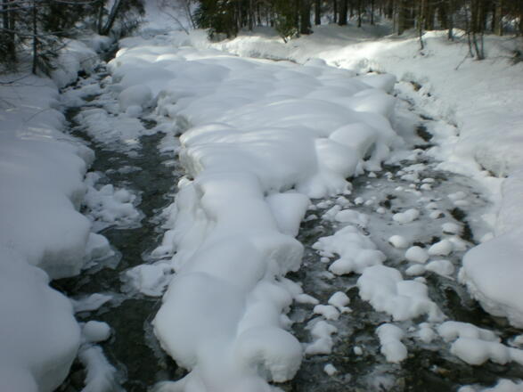 Die Bolgenach beim Ausgangspunkt