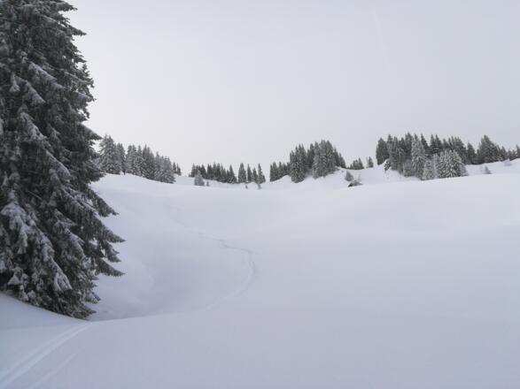 Unweit Obere Galtburstalpe12:30:18