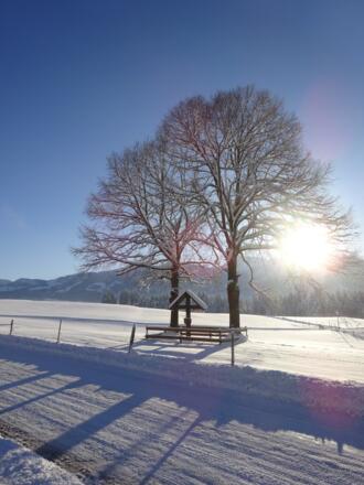 Wegkreuz am Ortseingang in Bolsterlang