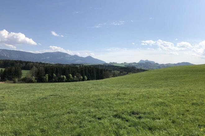 Blick zum Samerberger Hochtal von Riedering aus