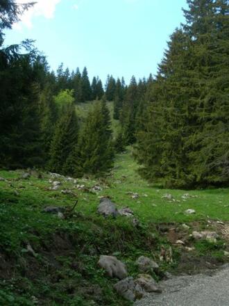 Die letzten Serpentinen