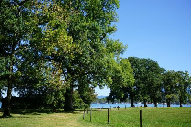 Badeplatz Schöllkopf