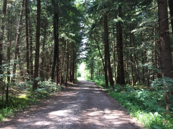 Von Emling nach Schmidhausen