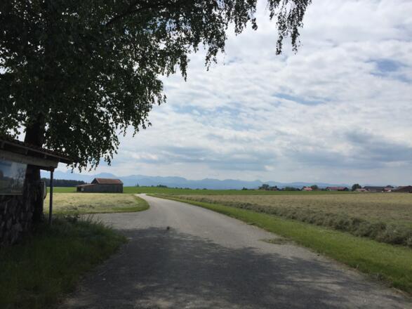 Richtung Schmidhausen