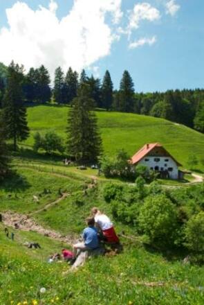 Blick auf die Hefteralm