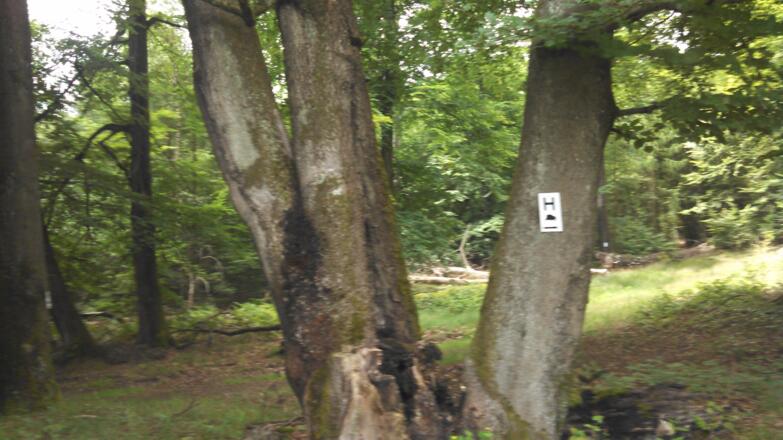 weiterer Wegeverlauf an der Busstaion