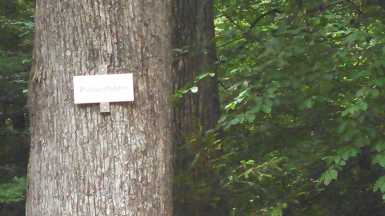 Baummarkierung bei Abzweig - Rund um den Geierskopf