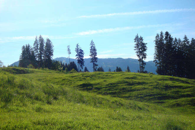 Weg zwischen Aumühle und Maderhalm