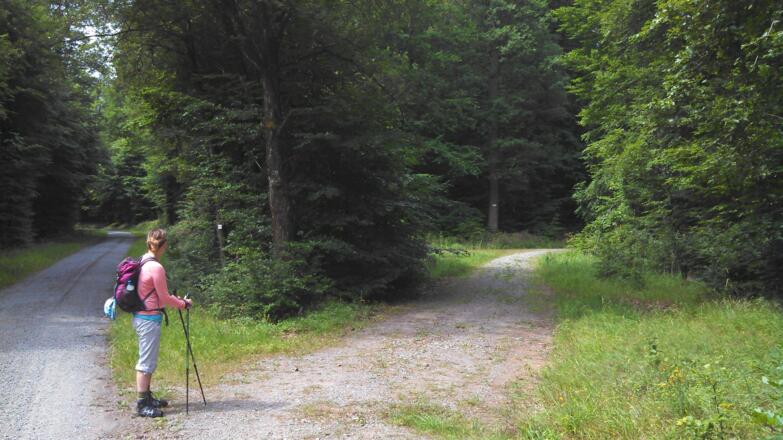 Abzweig auf &quot;Bennoweg&quot; rund um den Geierskopf