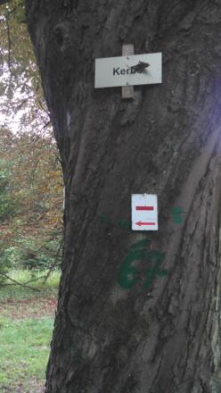 Baummarkierung an der Wiese