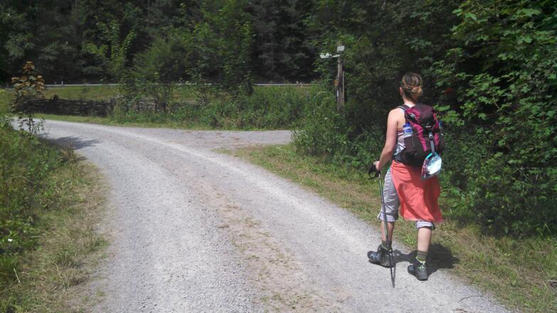 kurz vor der Wegekreuzung Rubischer Brunnen